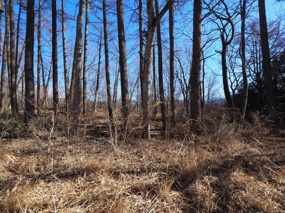 八ヶ岳で別荘を探すなら セラヴィリゾート泉郷