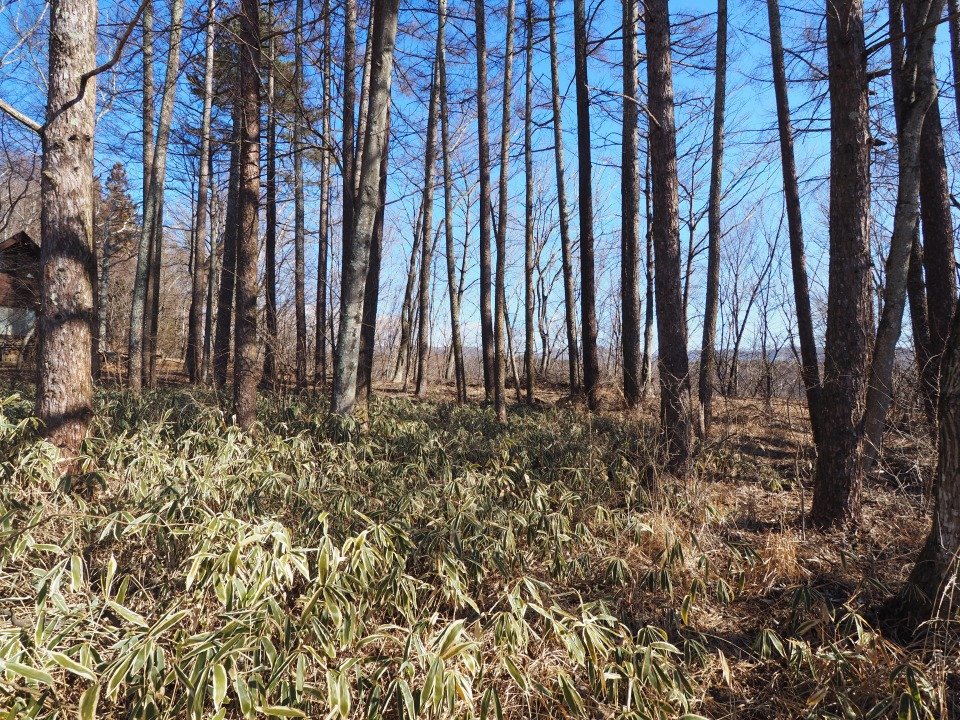 八ヶ岳で別荘を探すなら セラヴィリゾート泉郷