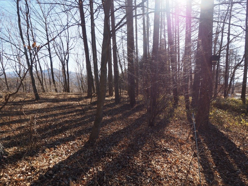 八ヶ岳で別荘を探すなら セラヴィリゾート泉郷