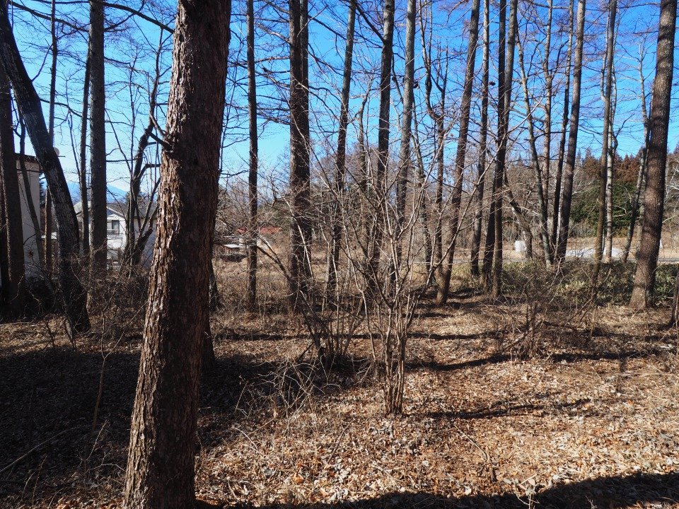 八ヶ岳で別荘を探すなら セラヴィリゾート泉郷