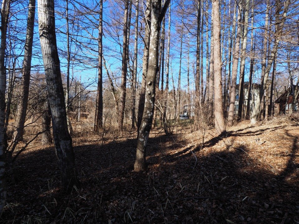 八ヶ岳で別荘を探すなら セラヴィリゾート泉郷