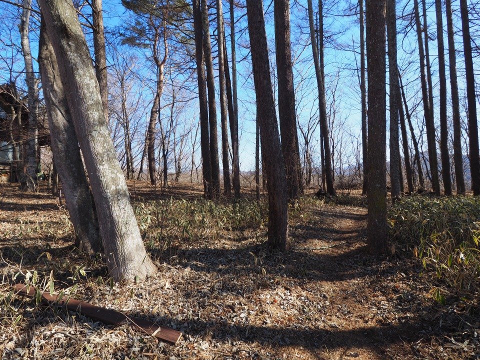 八ヶ岳で別荘を探すなら セラヴィリゾート泉郷