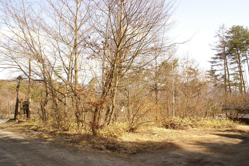 八ヶ岳の清里の静かな環境 土地 泉郷のリゾートライフ