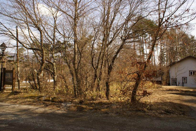 八ヶ岳の清里の静かな環境 土地 泉郷のリゾートライフ