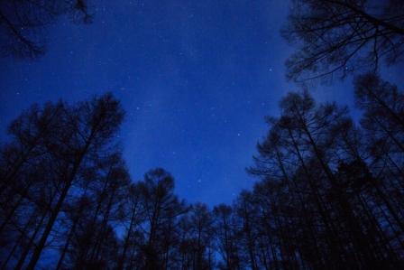 寒いほどお得フェア!泉郷の別荘で遊ぶように暮らす観光編