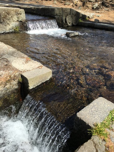 三分一湧水！泉郷の別荘で遊ぶように暮らす観光編....