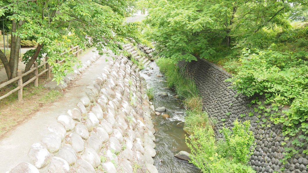 「ほたるの里」で、梅雨の合間のお愉しみ