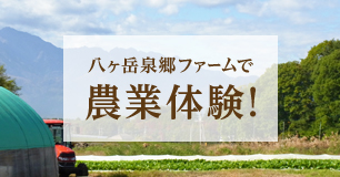 八ヶ岳泉郷ファームで農業体験！